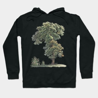 Trees Oil Painting Hoodie